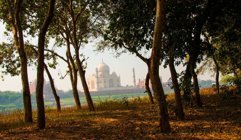 Mehtab Bagh — The Secret Sunset Spot