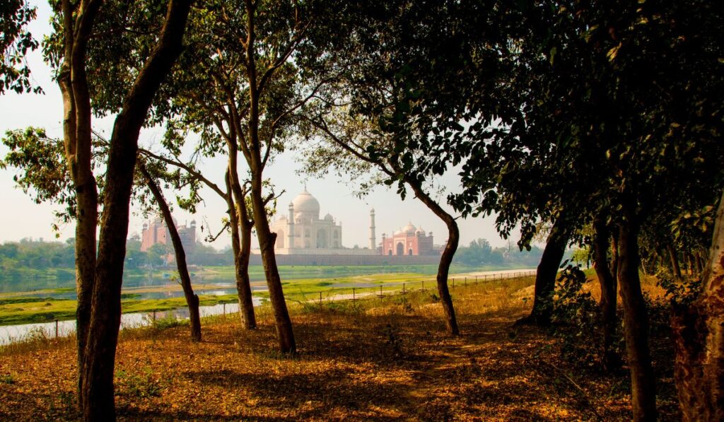 Peaceful forest view at Taj Nature Walk in Agra with natural walking area and historic monument in background